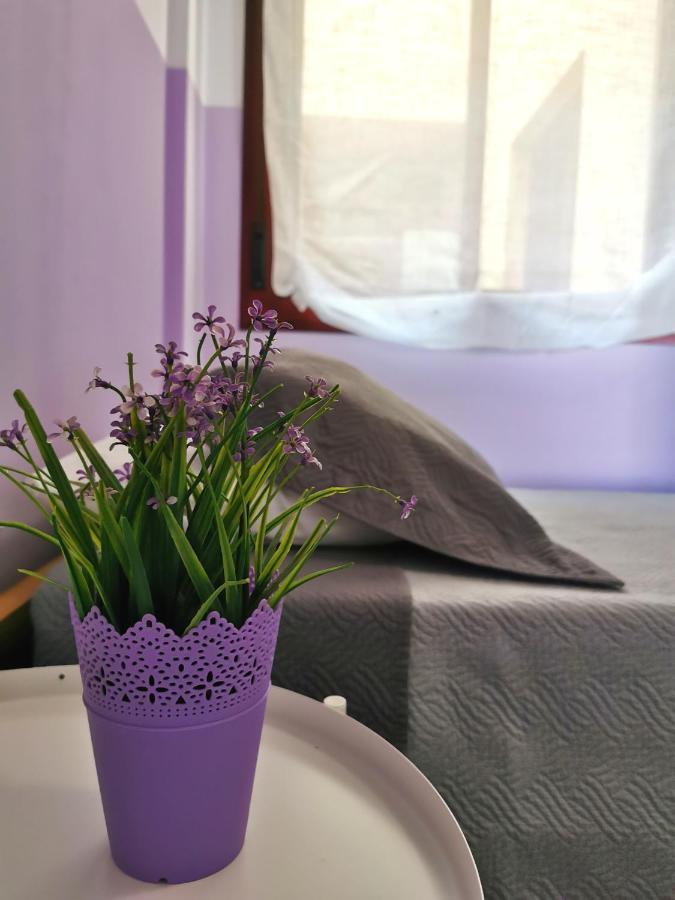 Apartamento Anais Dreams&Relax Corralejo Exterior foto